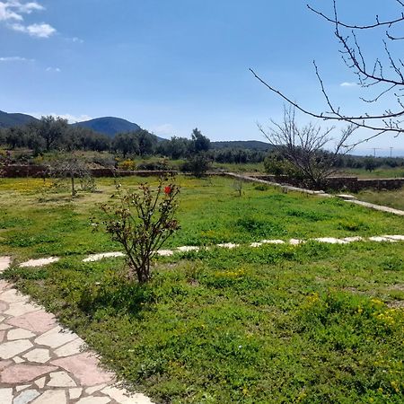 “Villa Othon-Leni” Paralia Demonias Bagian luar foto