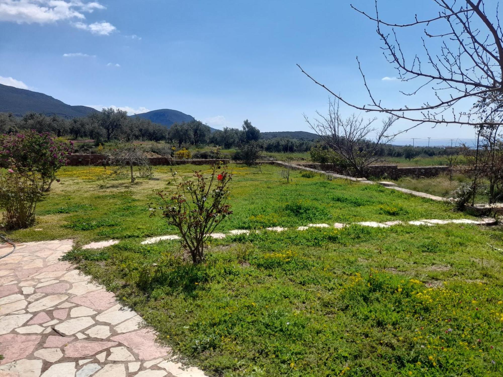 “Villa Othon-Leni” Paralia Demonias Bagian luar foto
