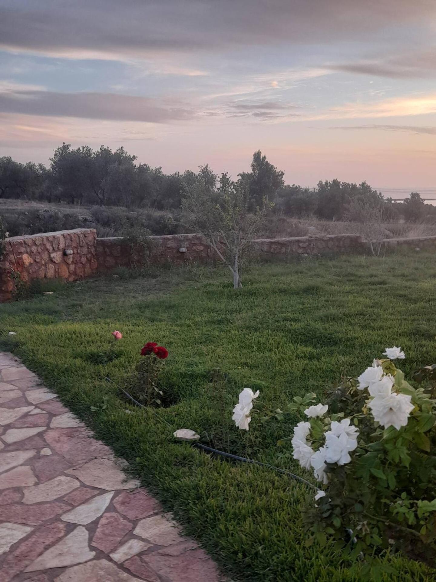 “Villa Othon-Leni” Paralia Demonias Bagian luar foto